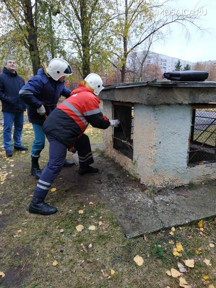 МБУ управления гражданской защиты