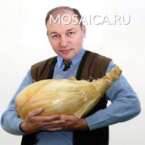 mosaica.ru