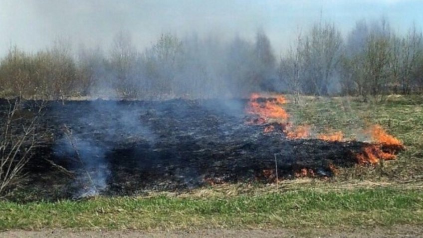 ГУ МЧС России по Ульяновской области