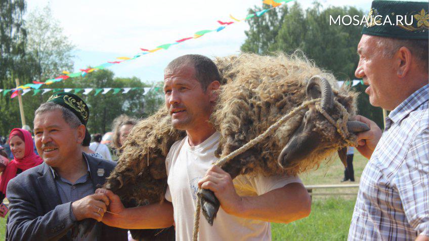 Главные новости Ульяновска