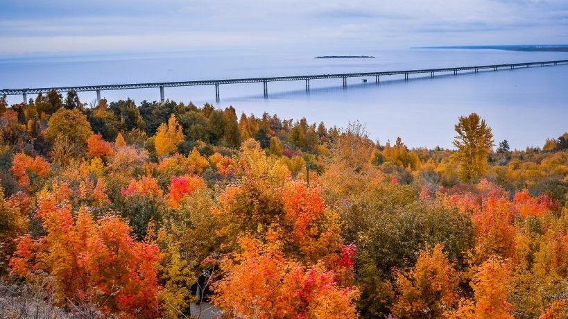 Яндекс.Дзен