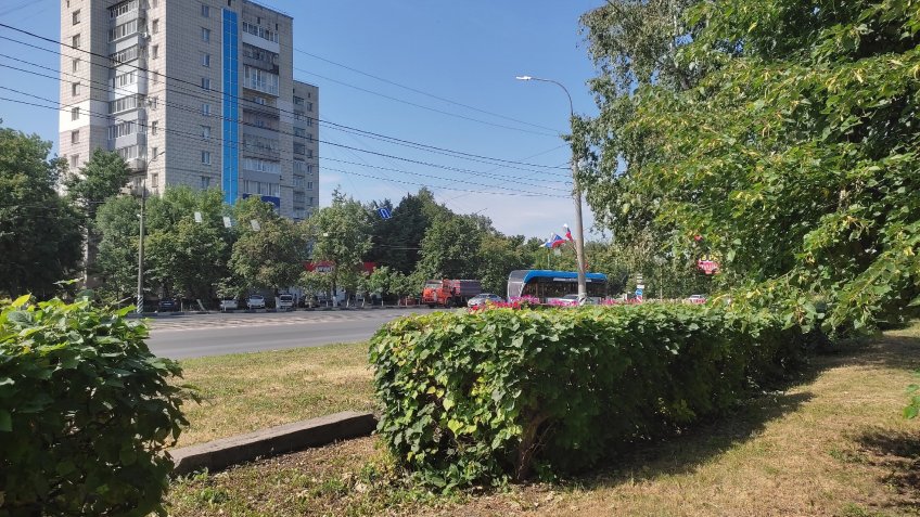 mosaica.ru, тематическое