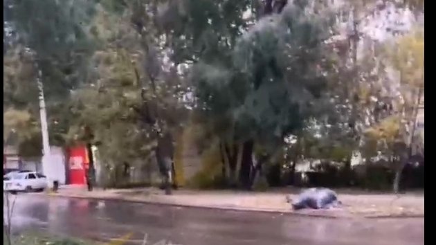соцсети