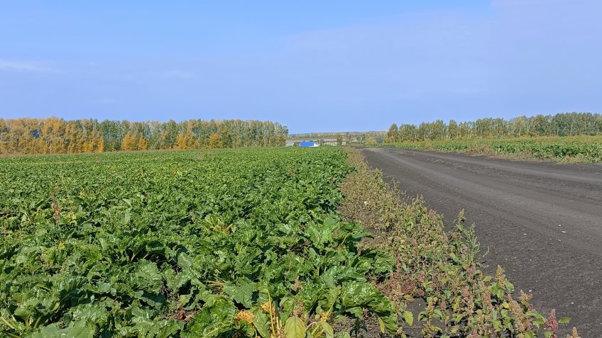 Управление Россельхознадзора по Чувашской Республике и Ульяновской области