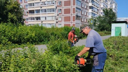 администрация Ульяновска