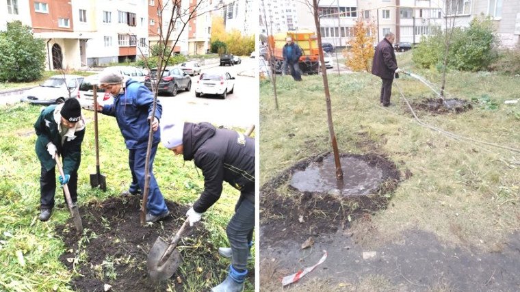 Фото: администрация города